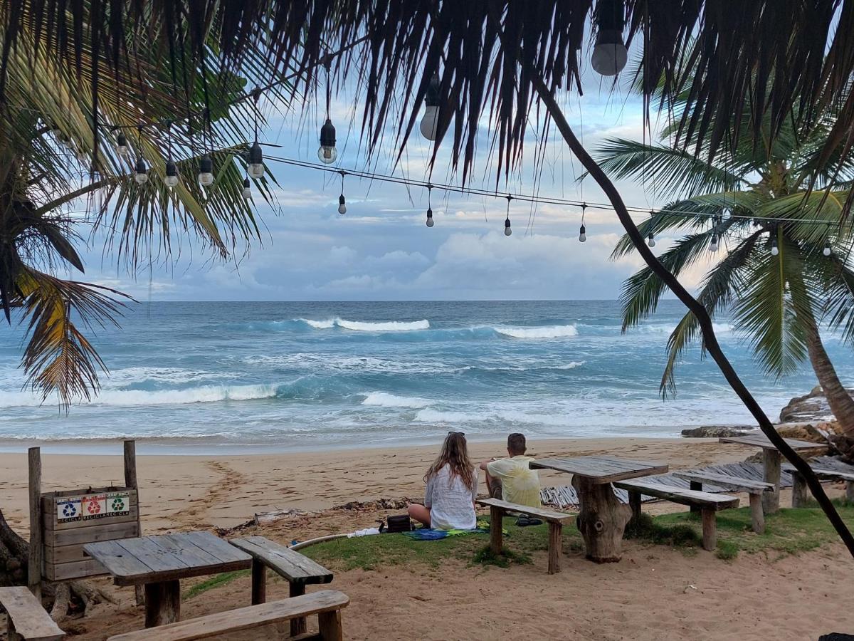 Cabarete Maravilla Eco Lodge Boutique Beach Surf Encuentro, Kite, By Aa Crypto Group Exteriör bild