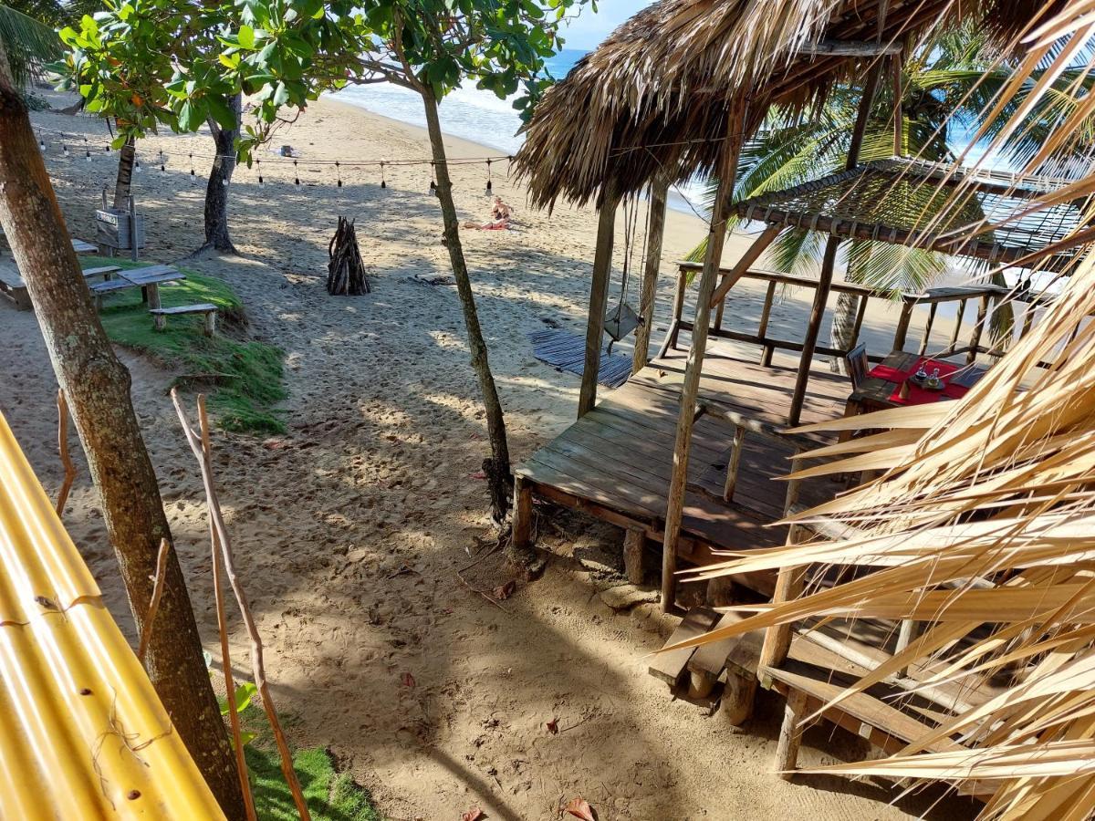 Cabarete Maravilla Eco Lodge Boutique Beach Surf Encuentro, Kite, By Aa Crypto Group Exteriör bild