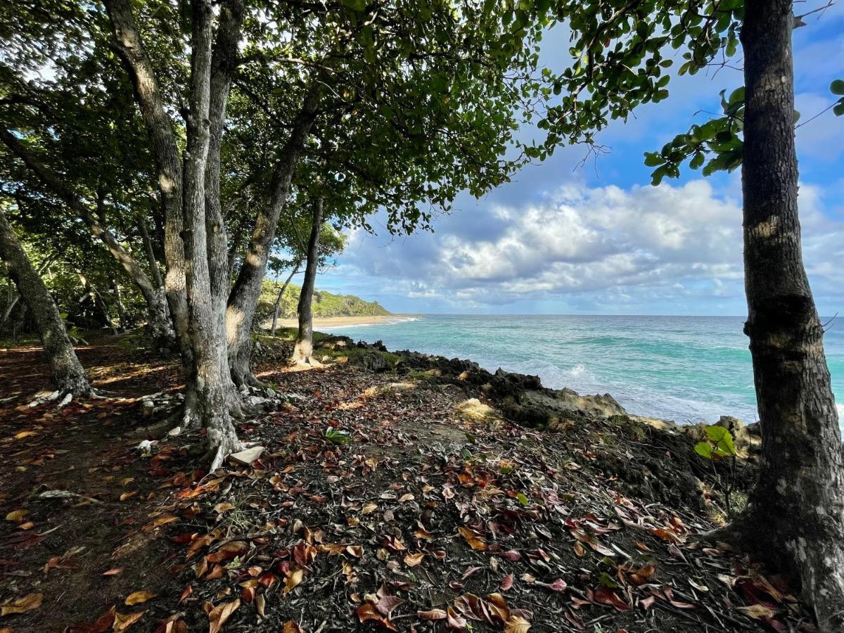 Cabarete Maravilla Eco Lodge Boutique Beach Surf Encuentro, Kite, By Aa Crypto Group Exteriör bild