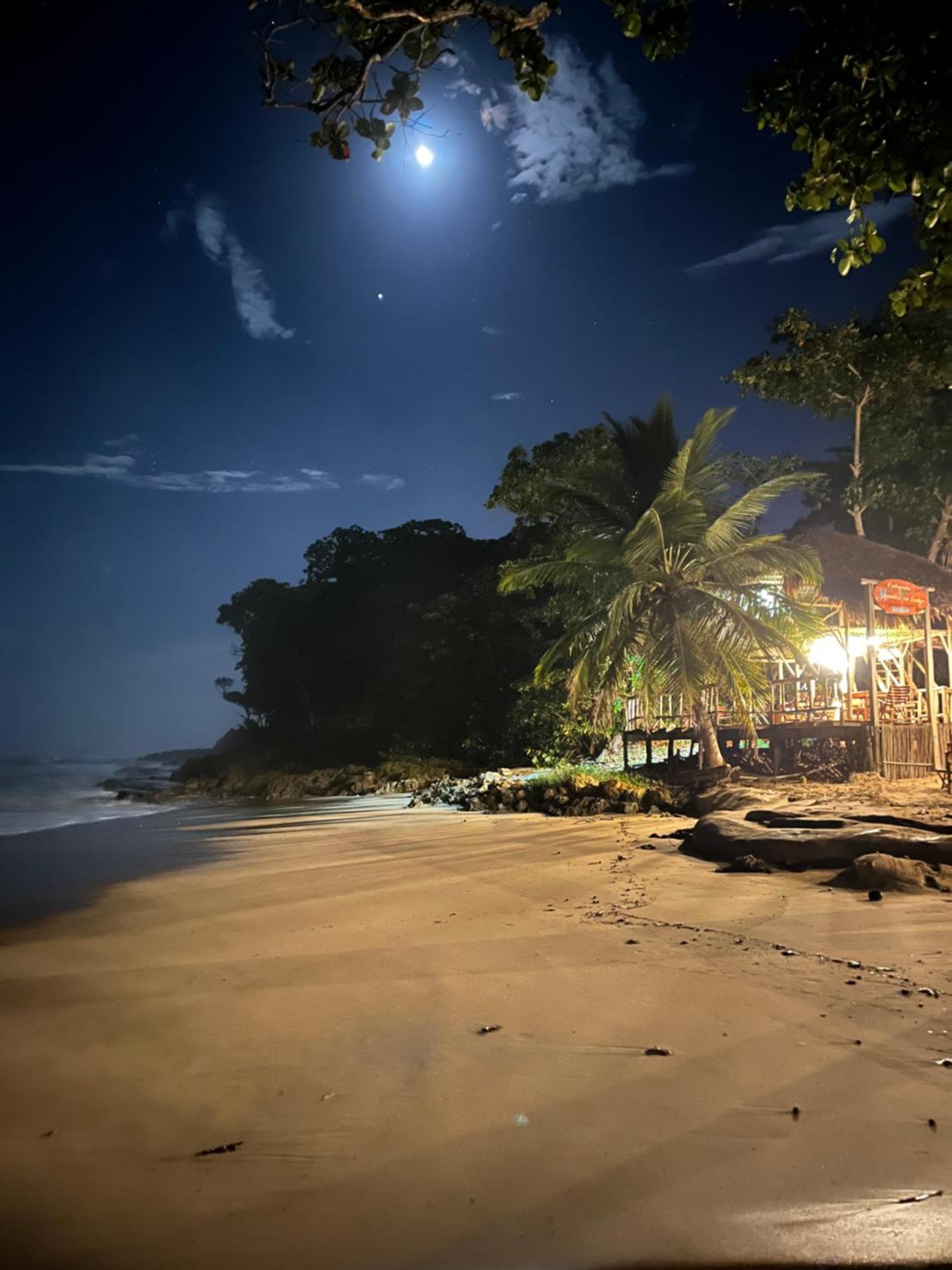 Cabarete Maravilla Eco Lodge Boutique Beach Surf Encuentro, Kite, By Aa Crypto Group Exteriör bild