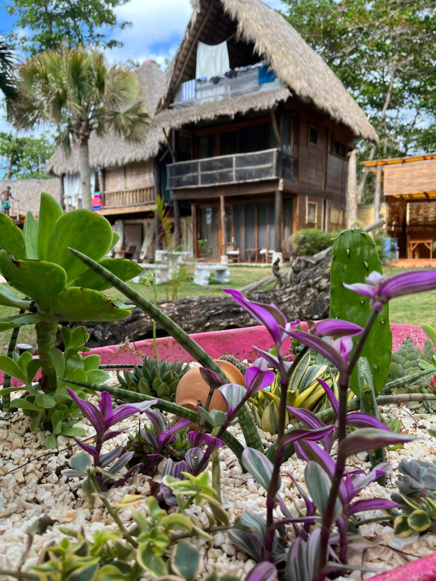 Cabarete Maravilla Eco Lodge Boutique Beach Surf Encuentro, Kite, By Aa Crypto Group Exteriör bild